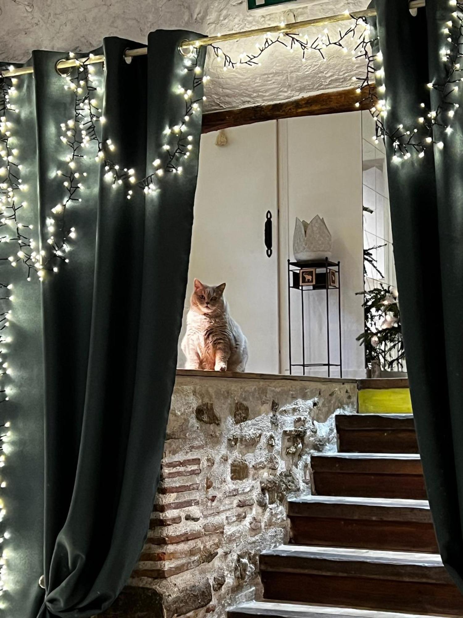 Bed and Breakfast Sci Les Remparts De Mirepoix Mirepoix  Exterior foto